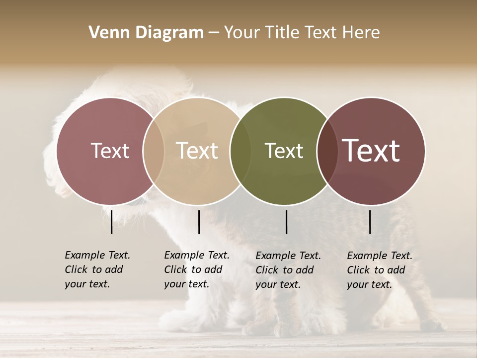 Lovely Tiny Youth PowerPoint Template