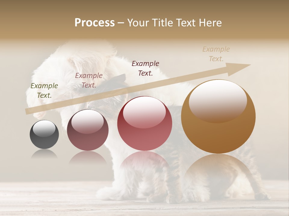 Lovely Tiny Youth PowerPoint Template