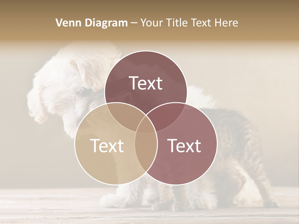 Lovely Tiny Youth PowerPoint Template