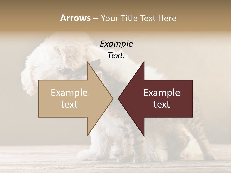 Lovely Tiny Youth PowerPoint Template