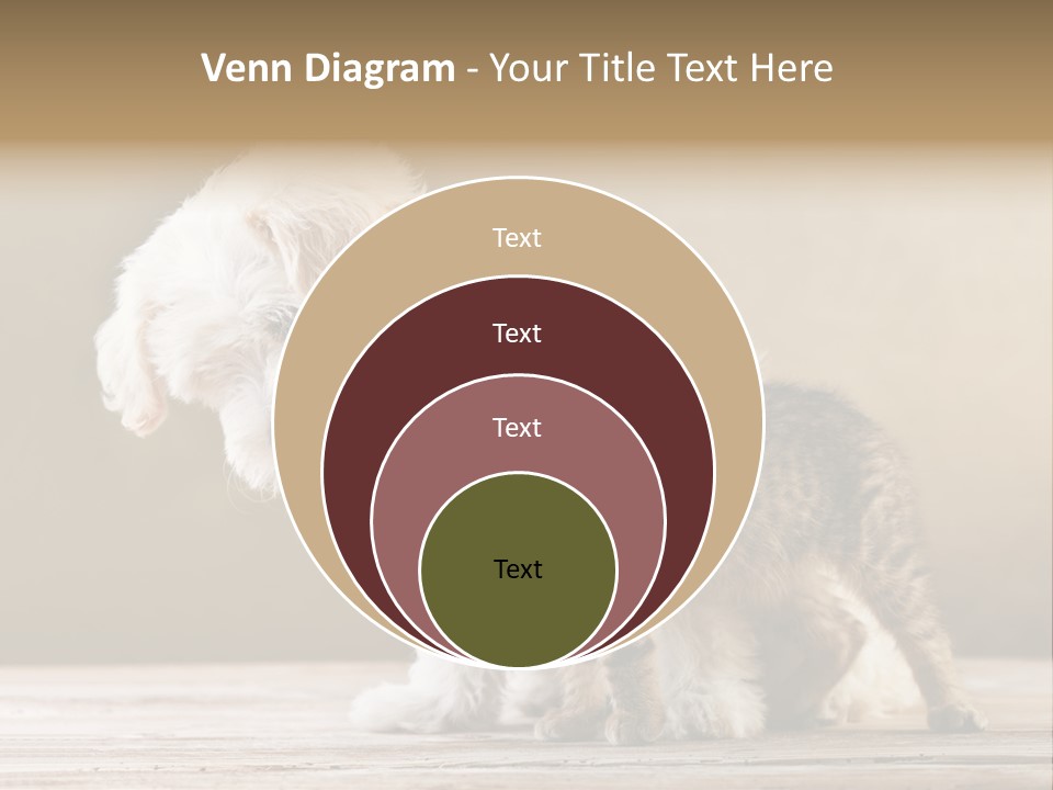 Lovely Tiny Youth PowerPoint Template