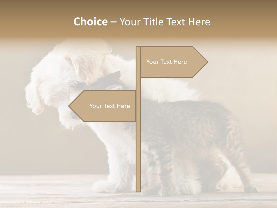 Lovely Tiny Youth PowerPoint Template