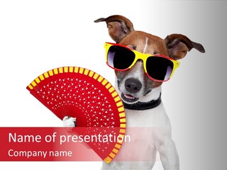 Pretty Pet Refreshing PowerPoint Template