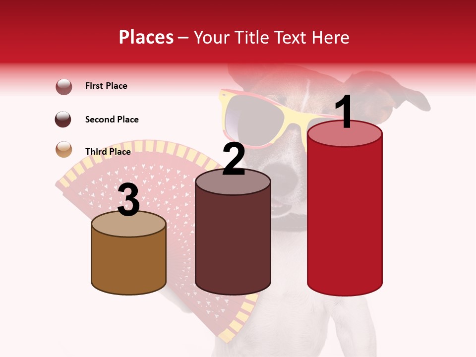 Pretty Pet Refreshing PowerPoint Template