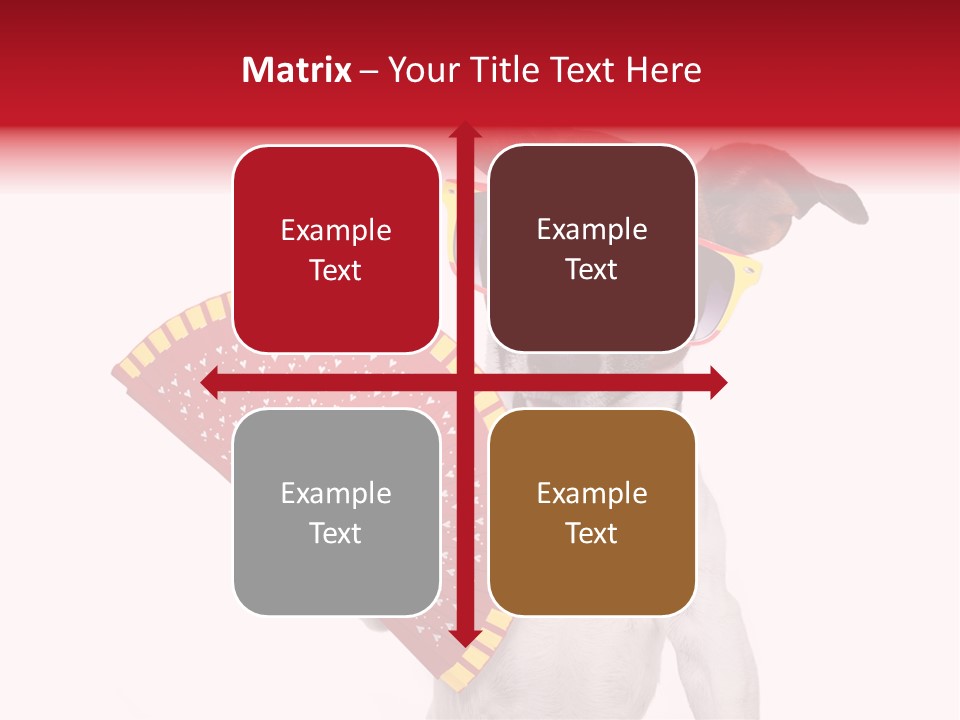 Pretty Pet Refreshing PowerPoint Template