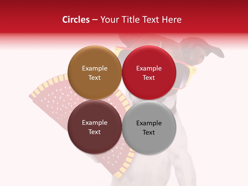 Pretty Pet Refreshing PowerPoint Template