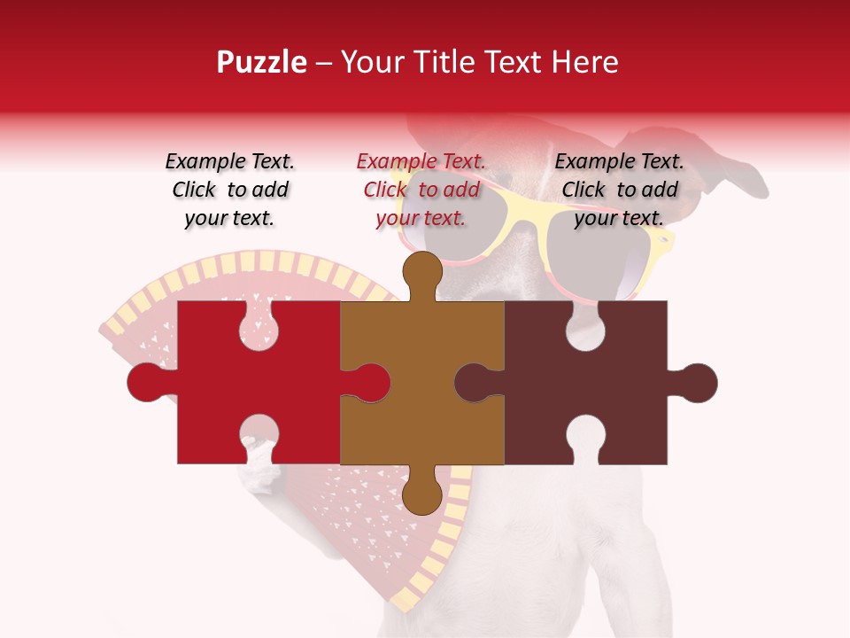 Pretty Pet Refreshing PowerPoint Template