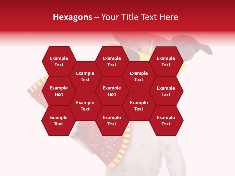 Pretty Pet Refreshing PowerPoint Template