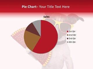 Pretty Pet Refreshing PowerPoint Template