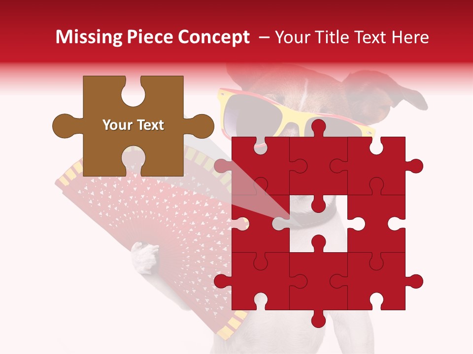 Pretty Pet Refreshing PowerPoint Template