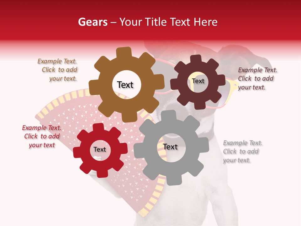 Pretty Pet Refreshing PowerPoint Template