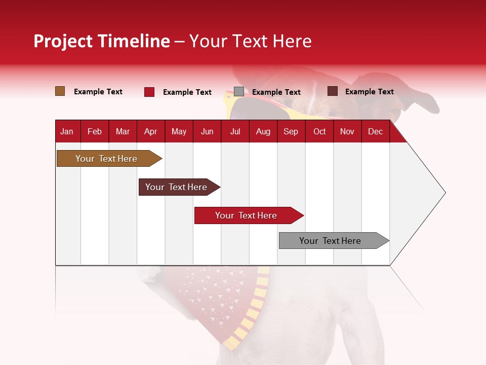 Pretty Pet Refreshing PowerPoint Template