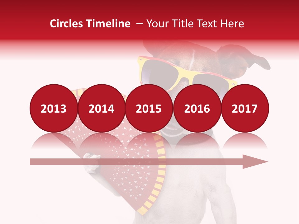 Pretty Pet Refreshing PowerPoint Template