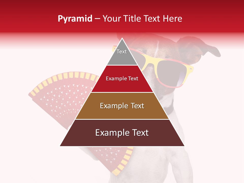 Pretty Pet Refreshing PowerPoint Template