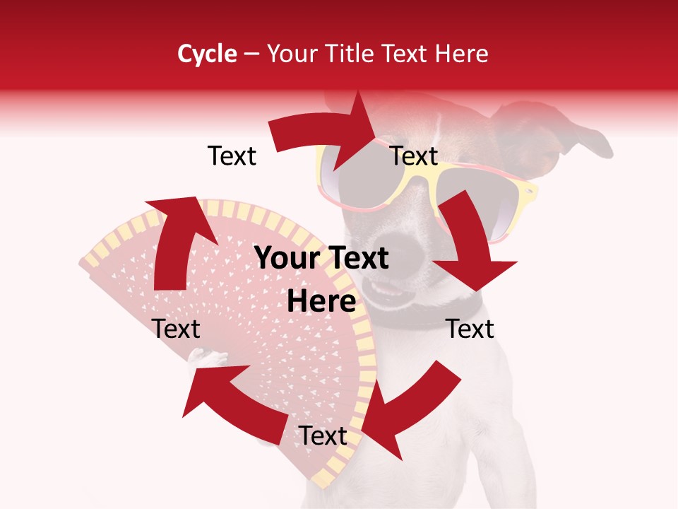 Pretty Pet Refreshing PowerPoint Template