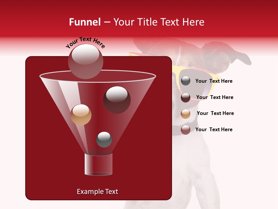 Pretty Pet Refreshing PowerPoint Template