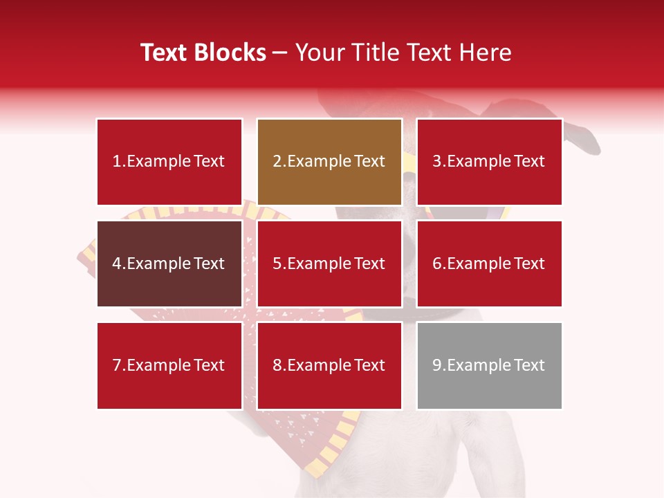 Pretty Pet Refreshing PowerPoint Template