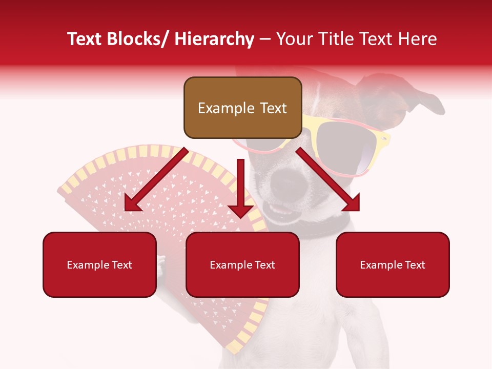 Pretty Pet Refreshing PowerPoint Template