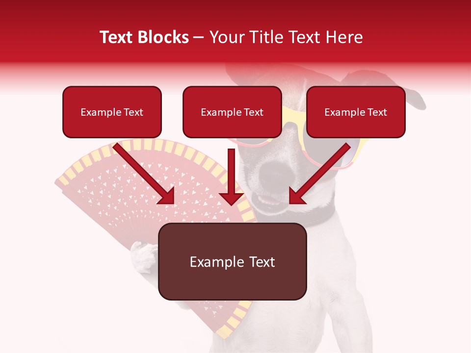 Pretty Pet Refreshing PowerPoint Template