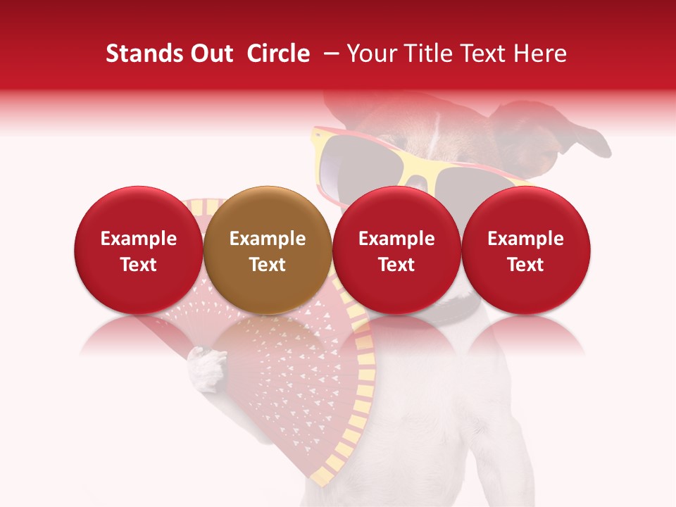 Pretty Pet Refreshing PowerPoint Template