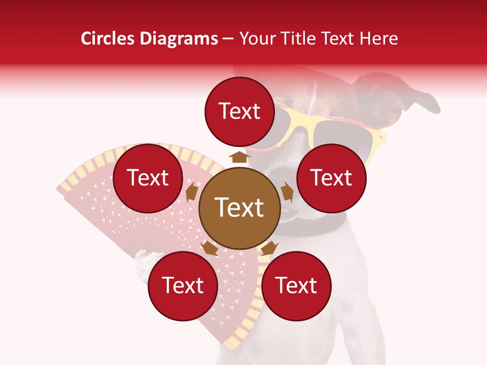 Pretty Pet Refreshing PowerPoint Template