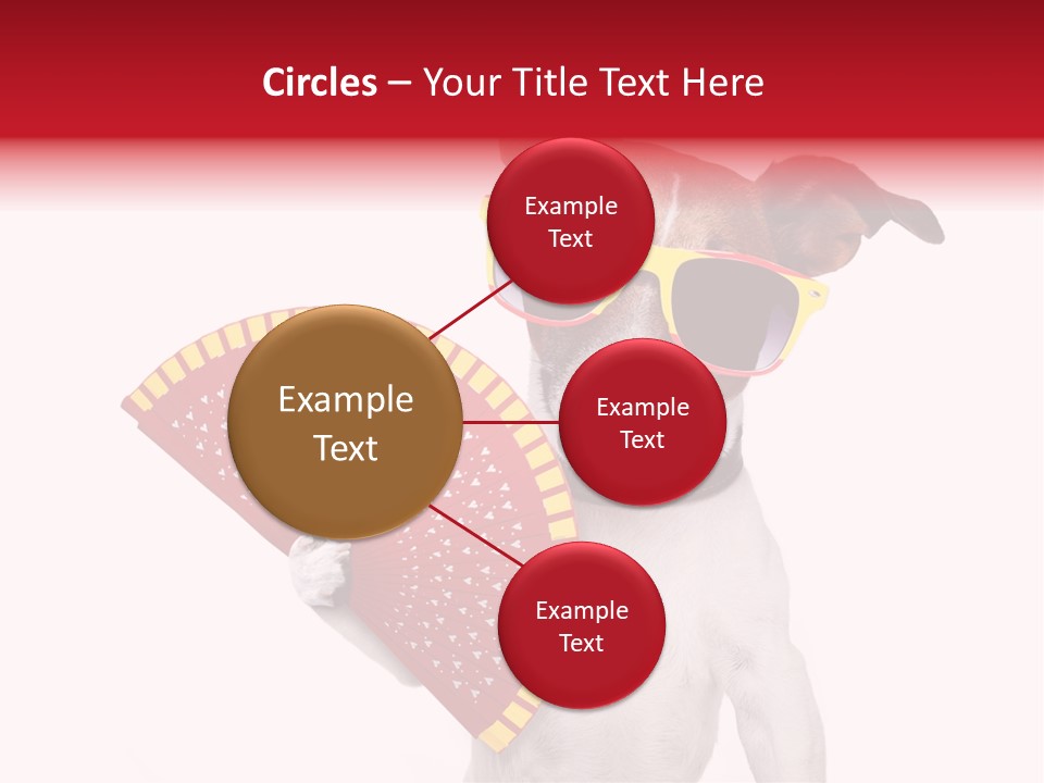 Pretty Pet Refreshing PowerPoint Template