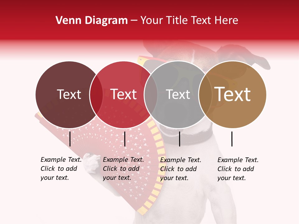 Pretty Pet Refreshing PowerPoint Template