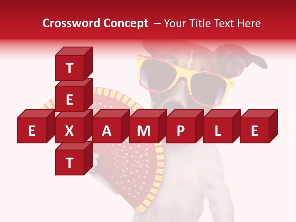 Pretty Pet Refreshing PowerPoint Template