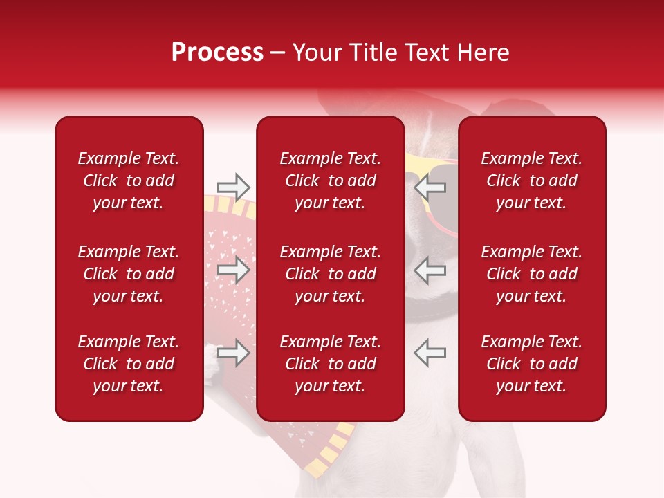 Pretty Pet Refreshing PowerPoint Template