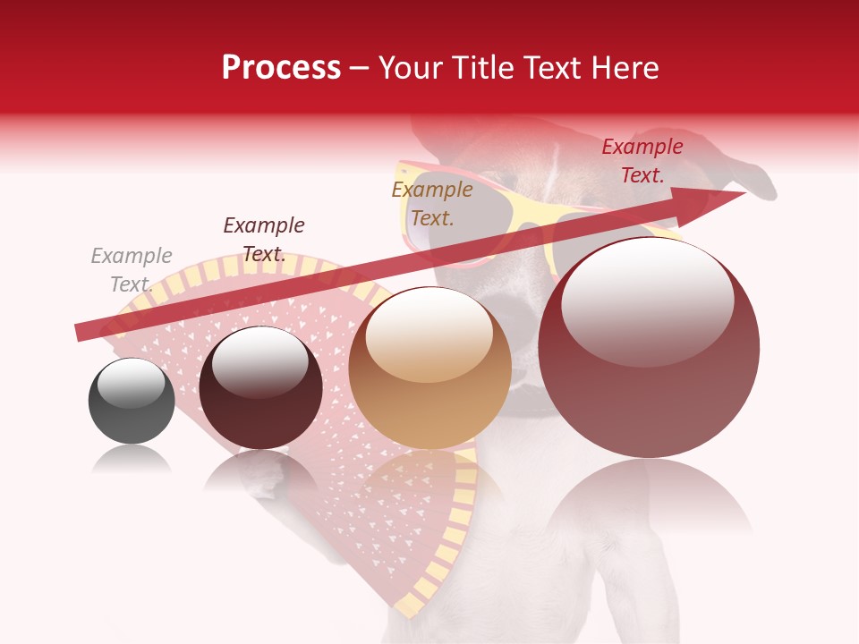 Pretty Pet Refreshing PowerPoint Template