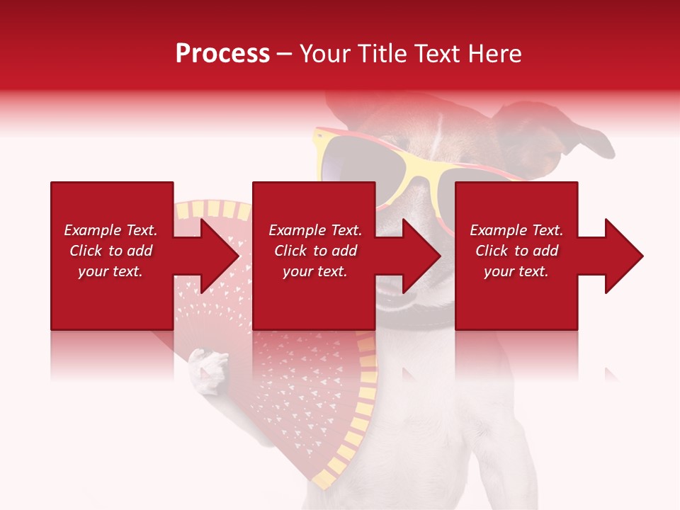 Pretty Pet Refreshing PowerPoint Template