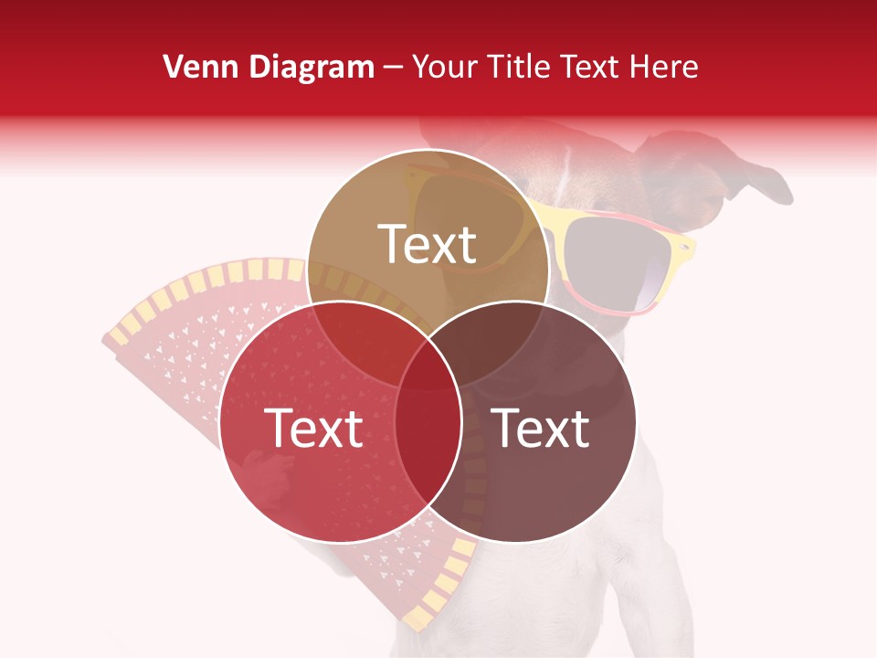 Pretty Pet Refreshing PowerPoint Template