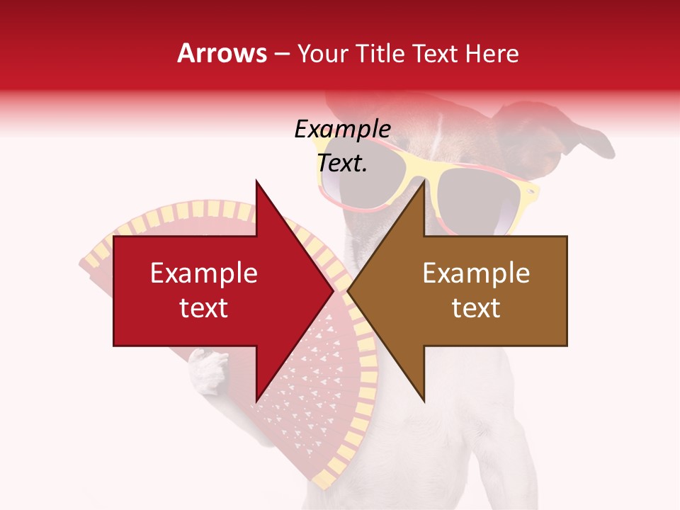 Pretty Pet Refreshing PowerPoint Template