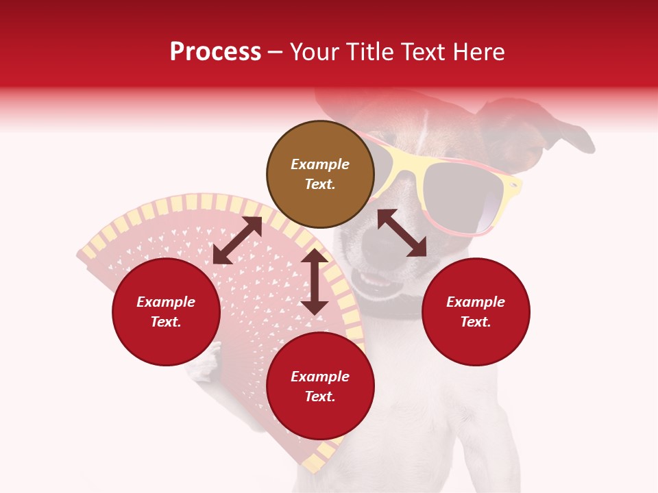 Pretty Pet Refreshing PowerPoint Template