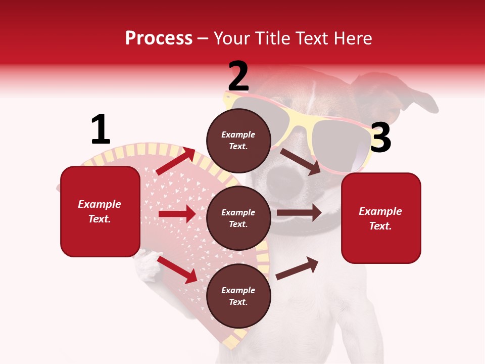 Pretty Pet Refreshing PowerPoint Template