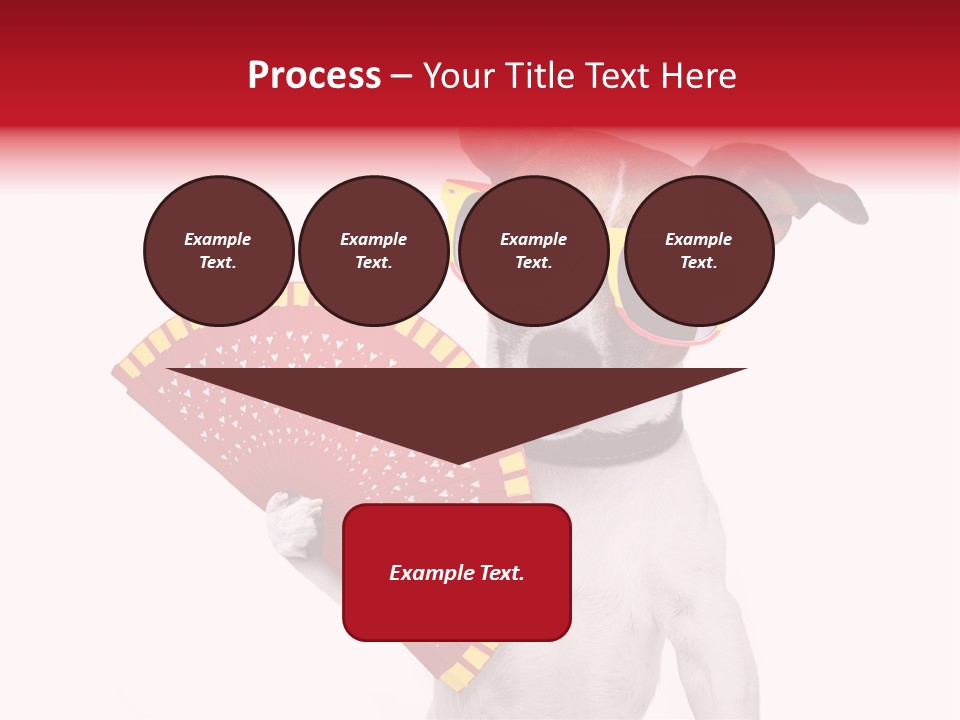 Pretty Pet Refreshing PowerPoint Template