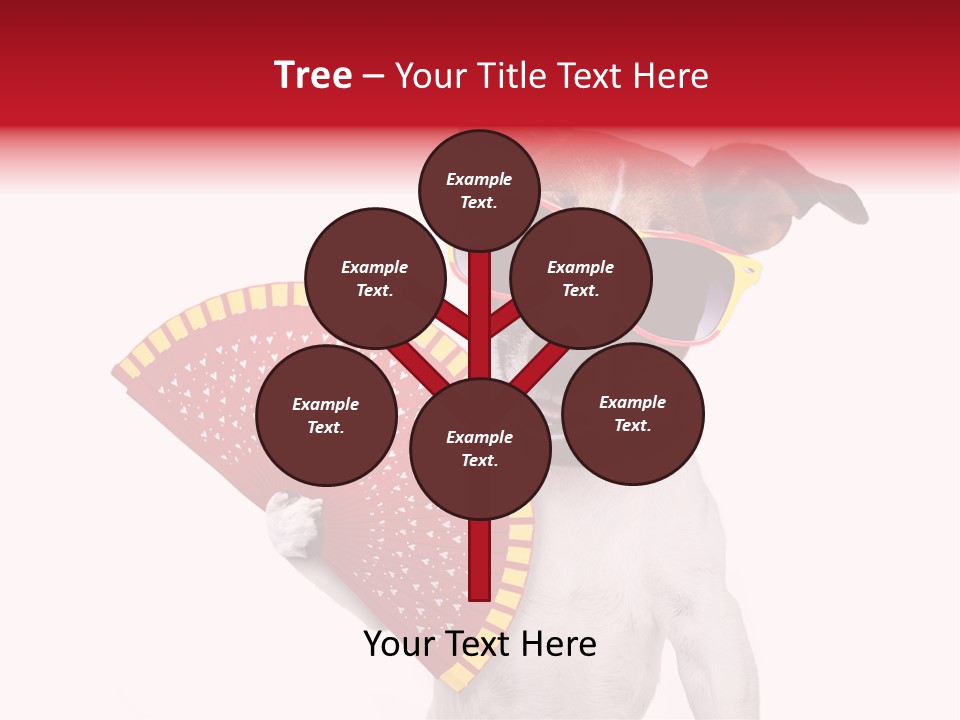 Pretty Pet Refreshing PowerPoint Template