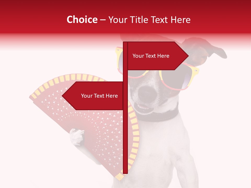 Pretty Pet Refreshing PowerPoint Template