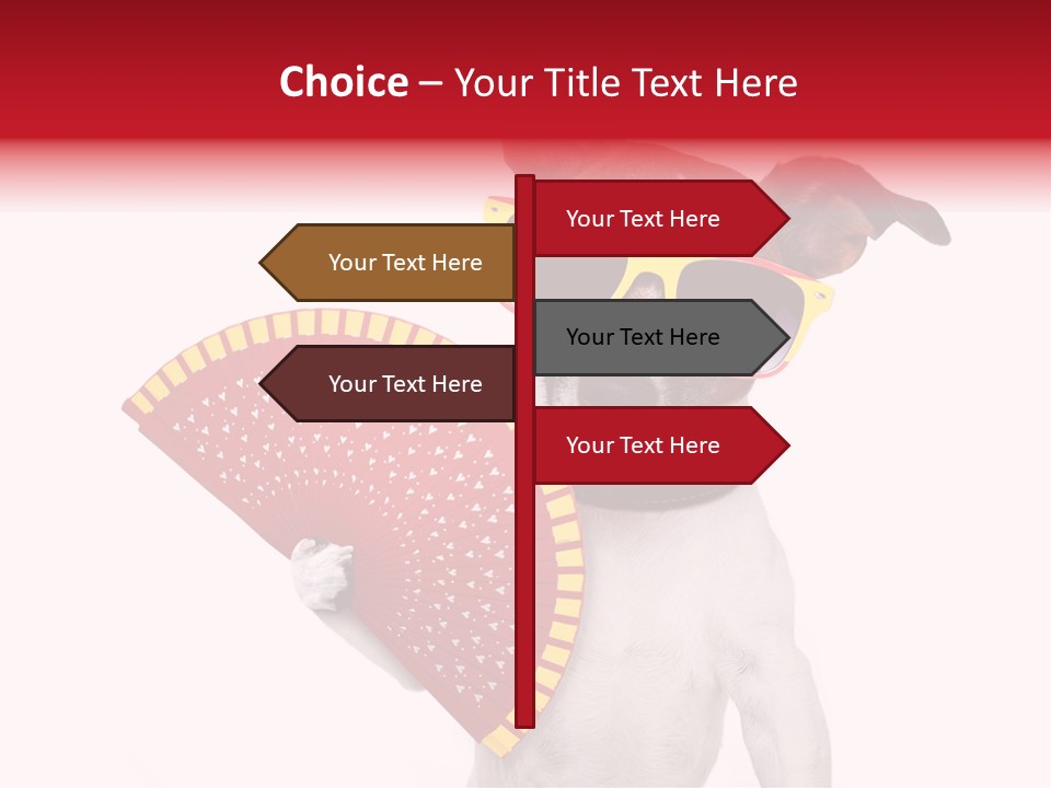 Pretty Pet Refreshing PowerPoint Template