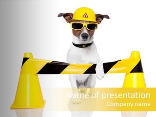 Dog Band Animal PowerPoint Template