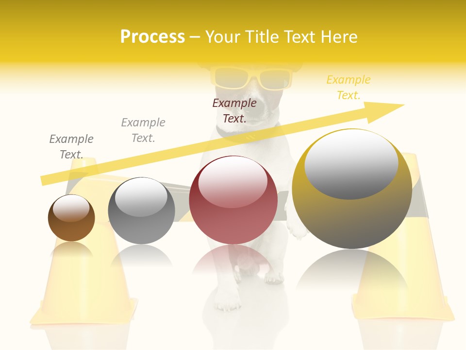 Dog Band Animal PowerPoint Template