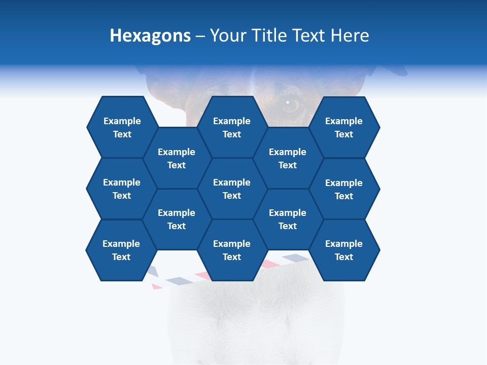 Joke Stamp Funny PowerPoint Template