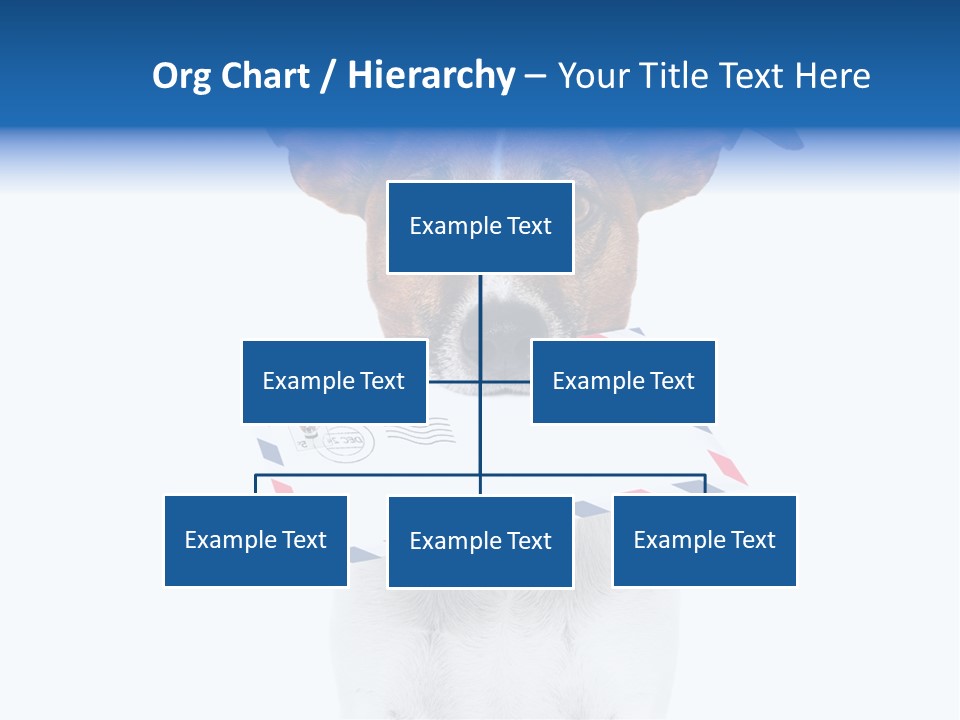 Joke Stamp Funny PowerPoint Template