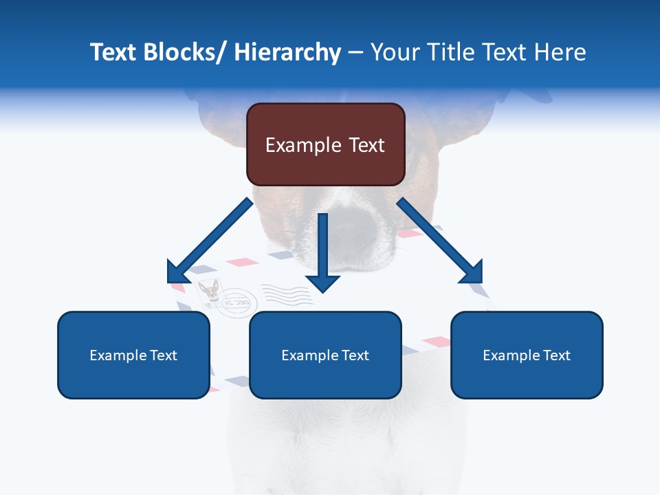 Joke Stamp Funny PowerPoint Template