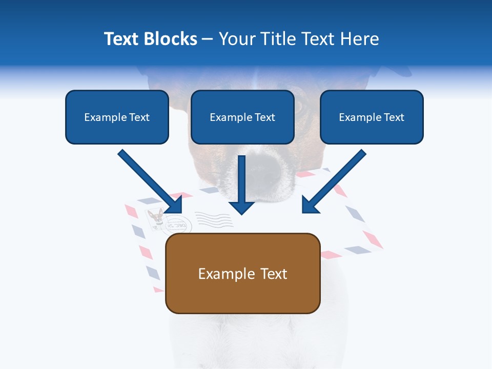 Joke Stamp Funny PowerPoint Template