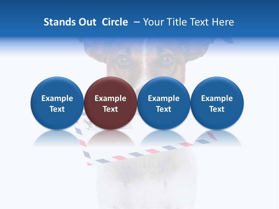 Joke Stamp Funny PowerPoint Template