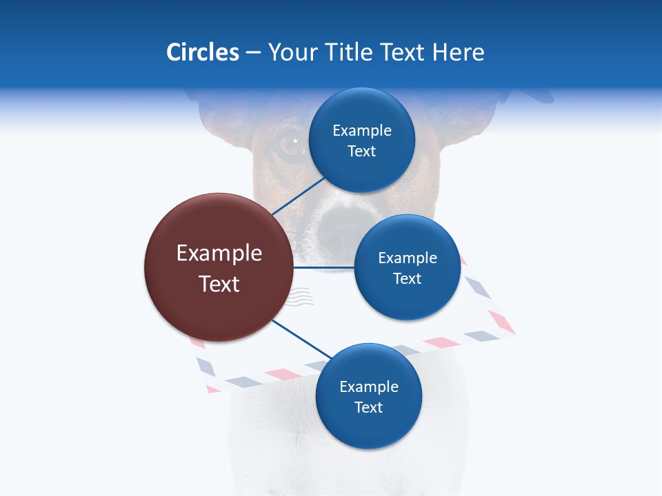 Joke Stamp Funny PowerPoint Template