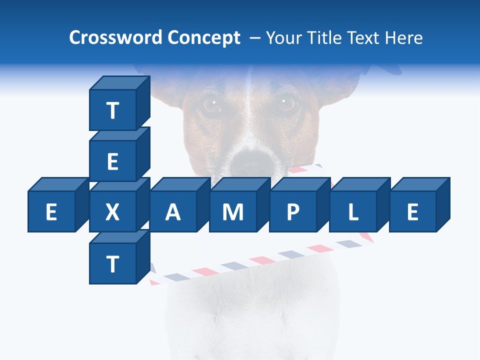 Joke Stamp Funny PowerPoint Template