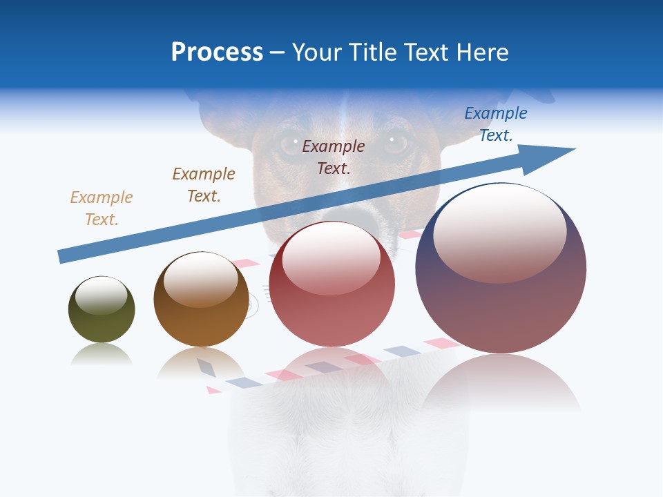 Joke Stamp Funny PowerPoint Template