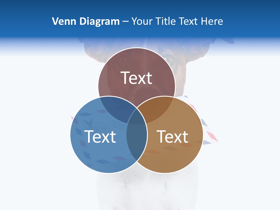 Joke Stamp Funny PowerPoint Template